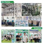 Morinda Citrifolia Seed Oil Extract Manufacturer - Herbal Plant Extract in Bottles, Drums, or Cans