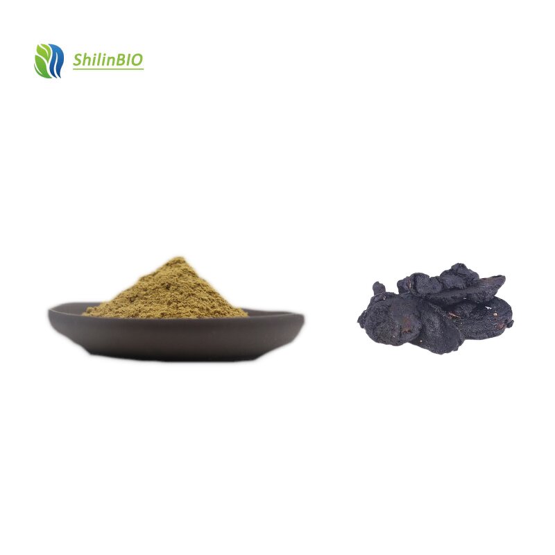 Rehmannia Root Extract Powder Manufacturer - Food Grade 10:1 Cooked Glutinosa