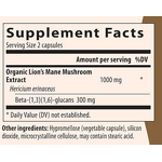 Lion's Mane Mushroom Capsules Manufacturer - Vegan Adult Supplement with Extract & OEM