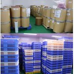 Turkesterone Capsules Manufacturer - 1000mg Ajuga Extract & Tongkat Ali for Muscle Growth