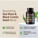 Herbal Seaweed & Black Seed Oil Capsules Manufacturer - Vegan Immune Support & Private Label