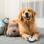 Pet Bell Manufacturer - Gold Plated Metal with Non-Skid Rubber Base for Dog Training