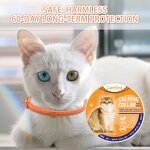 Calming Collar for Cats Manufacturer - Pheromone Collar to Reduce Anxiety and Stress