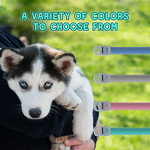 Silicone Dog Collar Manufacturer - Custom Multicolor Waterproof Luminous