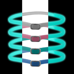 Pet Collars Manufacturer - Luminous, Waterproof & Anti-Tick Flea for Dogs