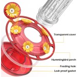 Hummingbird Feeder Manufacturer - 20oz 10 Port Plastic Feeder