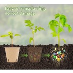 Peat Pots Supplier - Biodegradable Seed Starting Trays