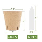 Peat Pots Supplier - Biodegradable Seed Starting Trays