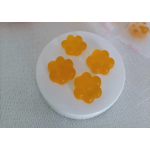 Source Factory Kids Vitamin Pectin Echinacea Gummies Manufacturer - Immune Gummies Vitamin Candy Plus Zn Plus Custom