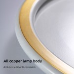 Premium Supplier - Black Glass Ceiling Light