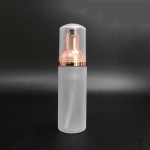 Travel Foamer Supplier - 50ml Frosted Plastic Gold Pump