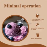 OEM/ODM Blueberry Antioxidant Ice Cream Powder Manufacturer - Private Label Low-Sugar Vegan Dessert Mix with Vitamins