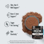 OEM Creatine Monohydrate Powder Manufacturer - Private Label 500 Grams Vegetarian Creatine Supplement for Muscle Mass
