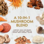 OEM/ODM Mushroom Golden Blend Capsules Manufacturer - Private Label Vegan Adaptogenic Mushrooms Powder Supplement for Immune Support