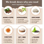 OEM/ODM Mushroom Coffee Manufacturer - Private Label Customizable Organic Instant Coffee with Lion's Mane Cordyceps & L-Theanine Extract