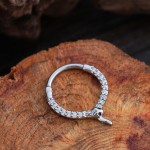 Snake Nose Ring Factory - 2025 New Hot Selling Interface