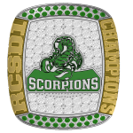 Gemstone Ring Supplier - Custom Cheap Championship Basketball