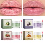 Lip Mask Factory - ODM Fruit Flavor Lip Mask