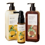 Shampoo Conditioner Factory - ODM Ginseng Anti Hair Loss