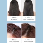 Body Wash Set Supplier - Private Label Seaweed Hair Care Set