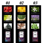 Solid Perfume Set Manufacturer - Custom Portable Perfume Balm Set