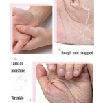 Hand Cream Manufacturer - Private Label Peach Milk Hand Cream