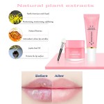 Lip Care Kit Supplier - Wholesale Exfoliating Lip Mask Set