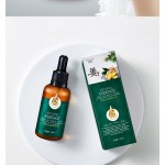 Hair Care Shampoo Manufacturer - Organic Ginger Hair Growth