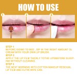 Lip Balm Supplier - OEM Korean Sleeping Lip Mask