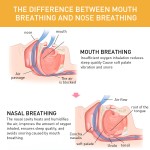 Mouth Tape Strips Supplier - Comfortable Breathing Anti Snoring