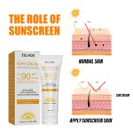 Sunscreen Supplier - Wholesale Organic Oil Free SPF 90