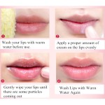 Lip Scrub Gel Factory - Propolis Exfoliating Gentle