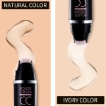 Roller CC Cream Manufacturer - Multi Effects Waterproof Makeup