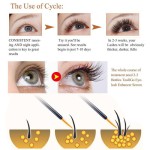 Eyelash Serum Factory - Natural Herbal Growth Enhancer