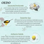 Hand Cream Factory - Snow Lotus Anti Chapping Whitening