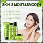 Skin Care Set Factory - Green Tea Anti Wrinkle Hydrating