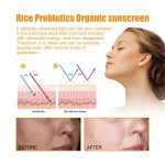 Facial Sunscreen Manufacturer - Organic Rice Brightening 40g
