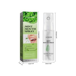 Mouth Spray Supplier - Alcohol Free Mint Refreshing 30ml
