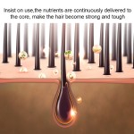 Hair Growth Serum Supplier - Ginseng Anti Hair Loss 30ml