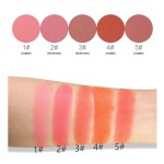 Blush Rouge Supplier - Micro Flash Blush