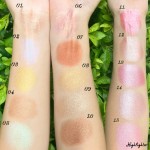 Contour Palette Supplier - Pressed Powder Blush Palette