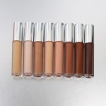 Liquid Concealer Manufacturer - Vegan Brow Concealer