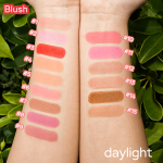 Contour Palette Supplier - Pressed Powder Blush Palette