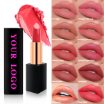 Lipstick Factory - Magnetic Matte Lipstick