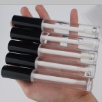 Lip Gloss Manufacturer - OEM Plumping Lipgloss