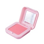 Blush Palette Manufacturer - Matte Shiny Blusher