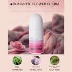 Magnetic Eyelashes Supplier - Eyeliner Applicator Kit