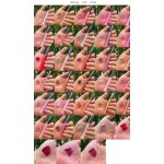 Glitter Lipgloss Manufacturer - Shimmer Plumper Gloss