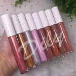 Lip Gloss Supplier - Plumping Shiny Lipgloss