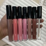 Lip Gloss Manufacturer - OEM Plumping Lipgloss